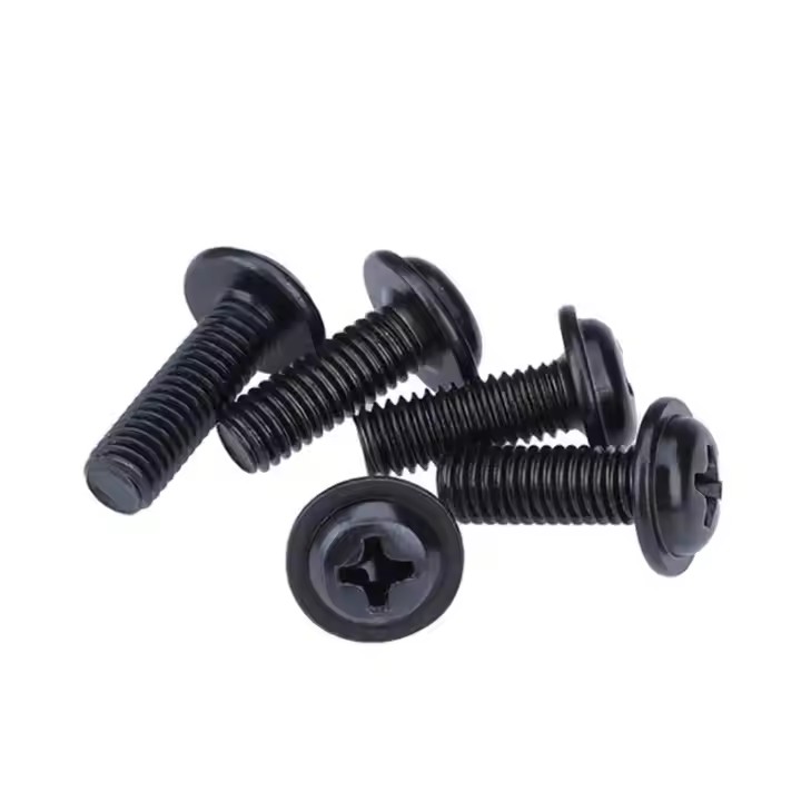 black slot round head screws