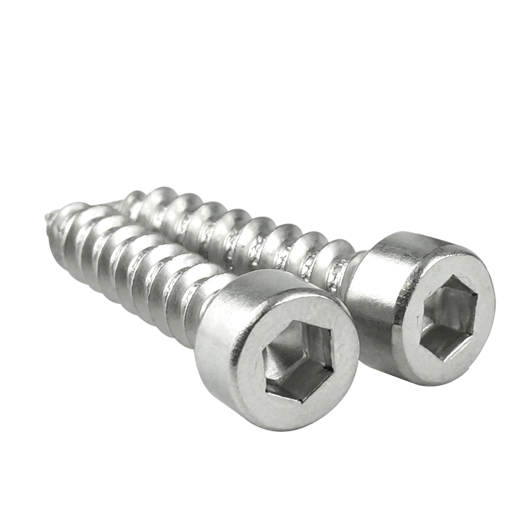 316 stainless steel screw