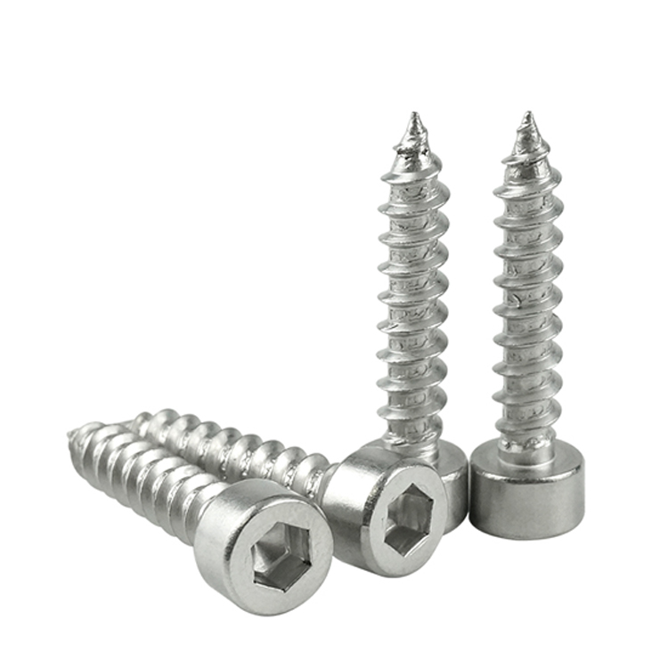316 stainless steel screw