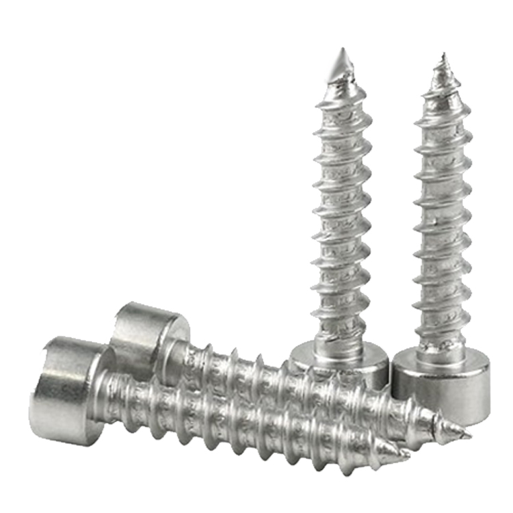 316 stainless steel screw